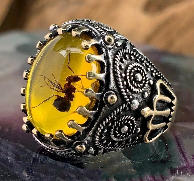 Men's Oval Gothic Crown Yellow Amber Ant Fossil Insect Two-Tone Ring