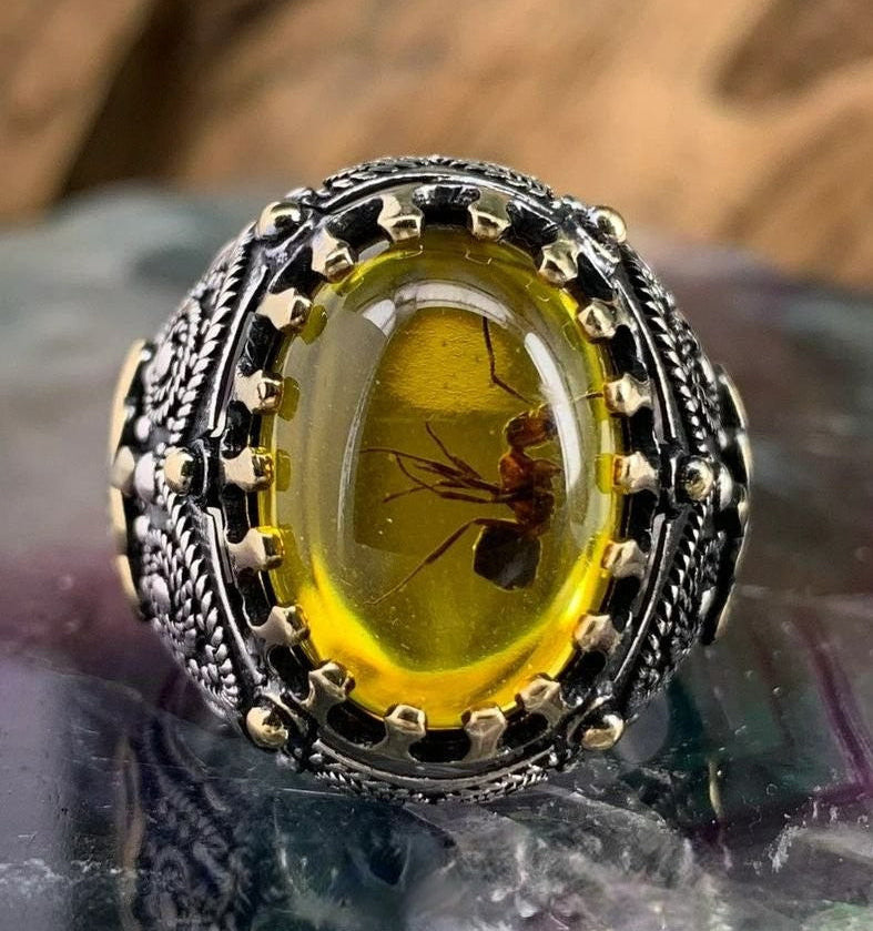 Men's Oval Gothic Crown Yellow Amber Ant Fossil Insect Two-Tone Ring
