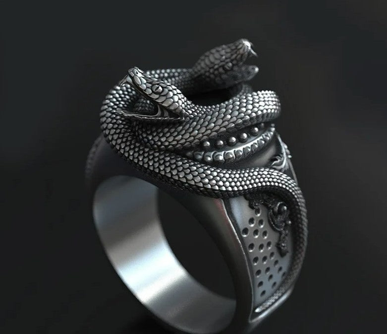 Men's Domineering Double Snake Head Silver Gothic Ring
