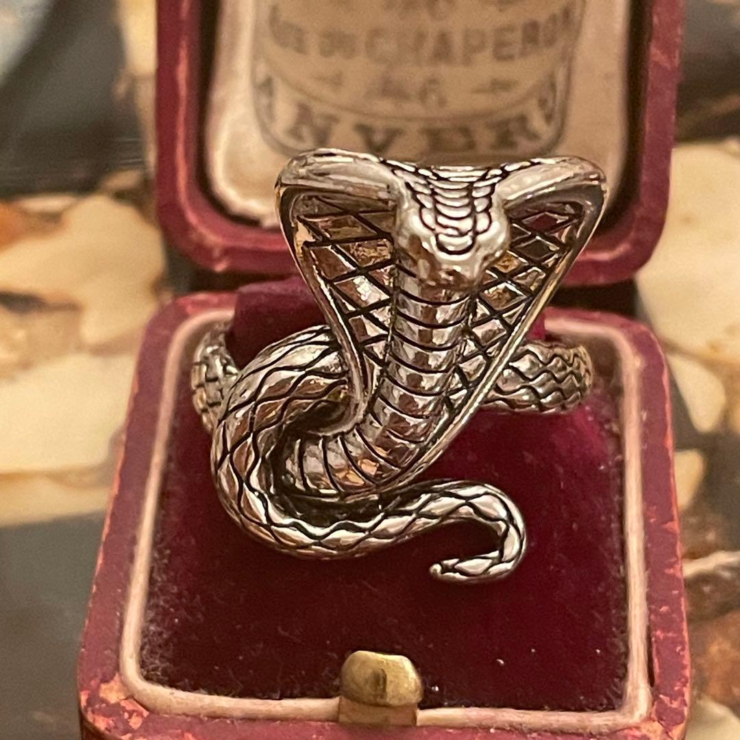Lady Cobra Snake Wrap Silver Punk Ring
