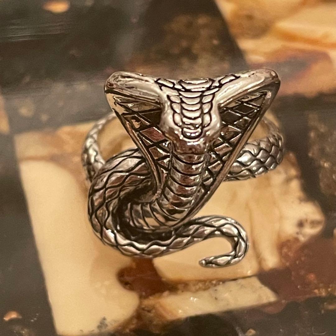 Lady Cobra Snake Wrap Silver Punk Ring